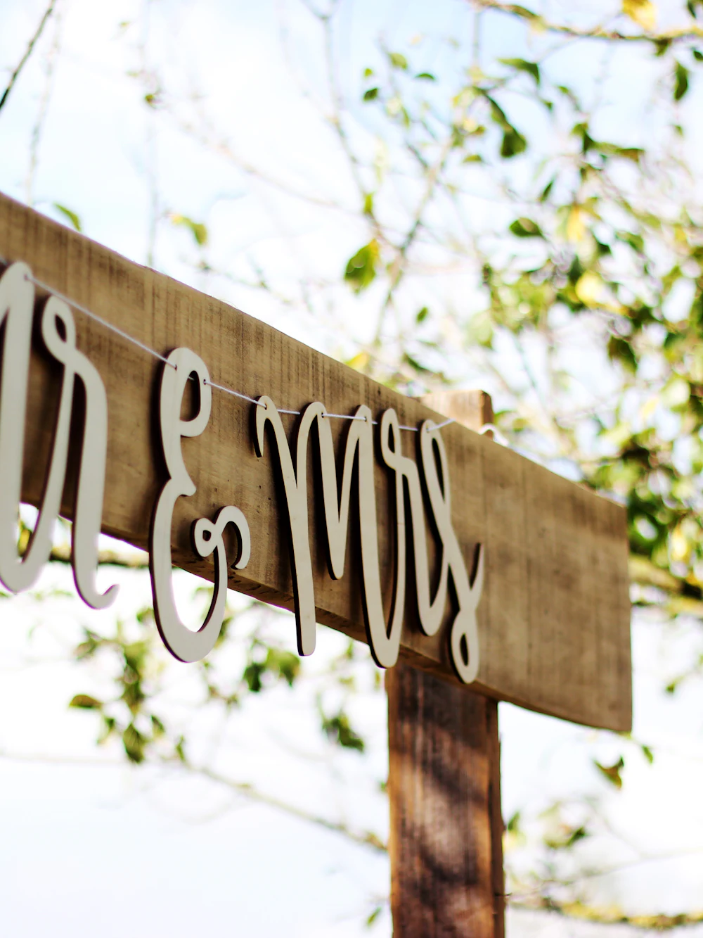 Rustic wooden sign reading Mr & Mrs hanging in the trees